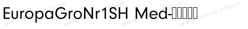 EuropaGroNr1SH Med字体转换
